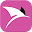 RB Kollors Download on Windows