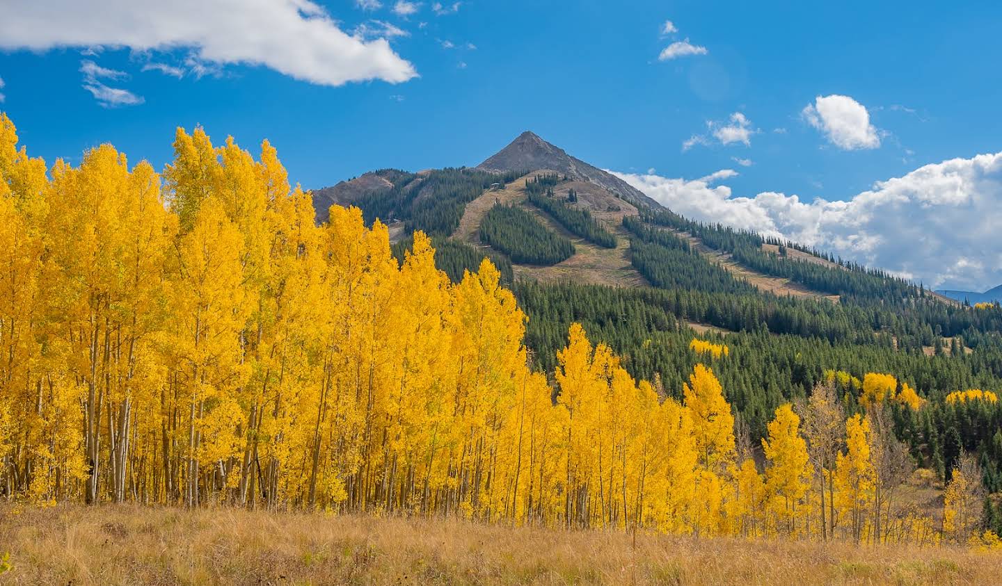 Land Mount Crested Butte