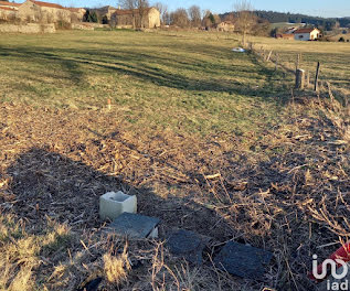 terrain à Montregard (43)