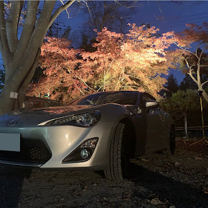 86 ZN6