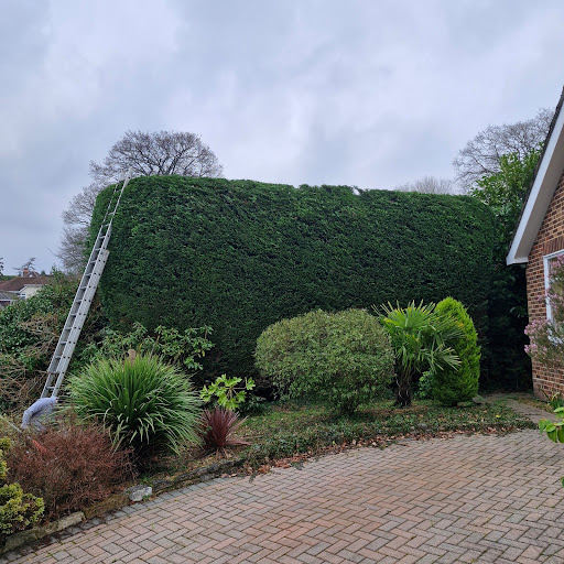 Affordable Tree & Garden Services Logo