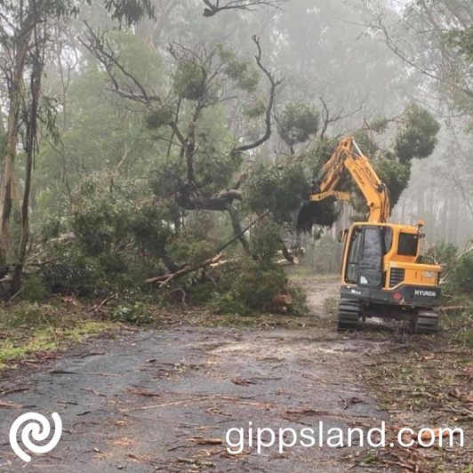 Crews have been working around the clock throughout Wellington since the storms hit, clearing trees and debris from roads, opening and closing roads due to flood waters and cleaning up to make sure our region is safe