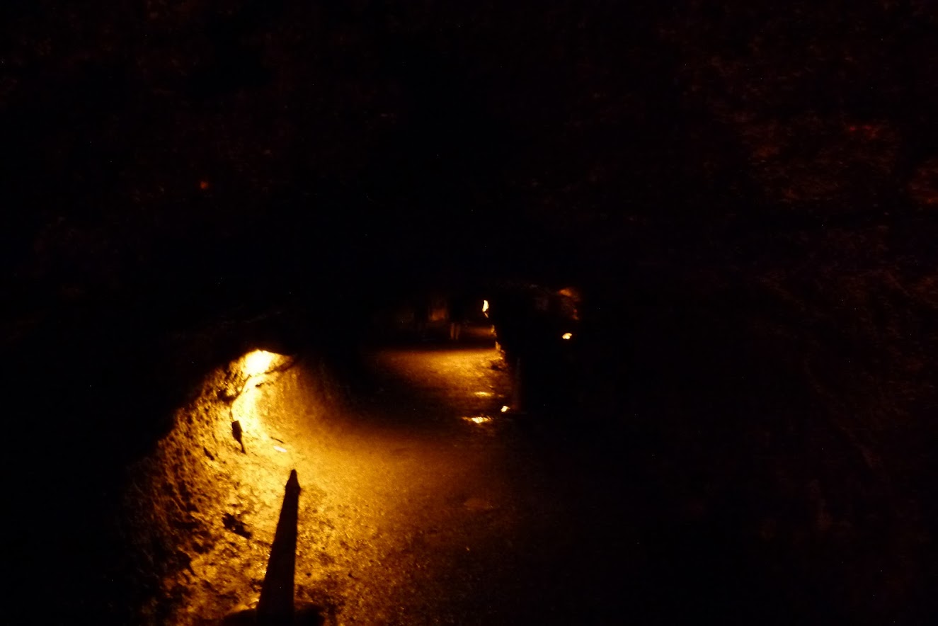 Thurston Lava Tube