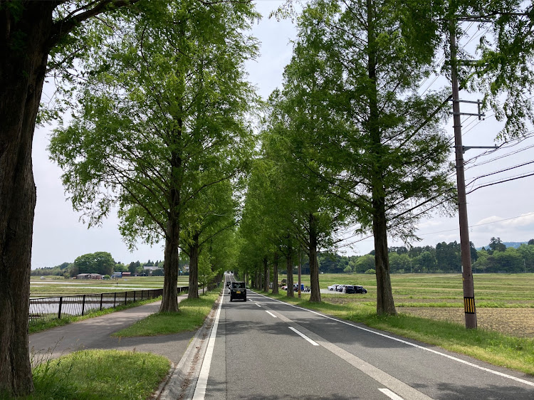アルトワークスのGW・洗車・ドライブ・5月もよろしくお願いします・家族サービスは大事に関するカスタム事例の投稿画像6枚目