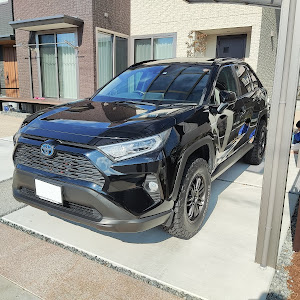 RAV4 AXAH52