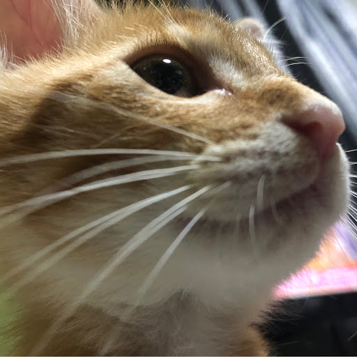 隼斗のプロフィール画像