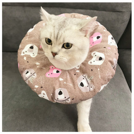 Title 14, Waterproof Pet Headgear for Post-Surgery, Steri...