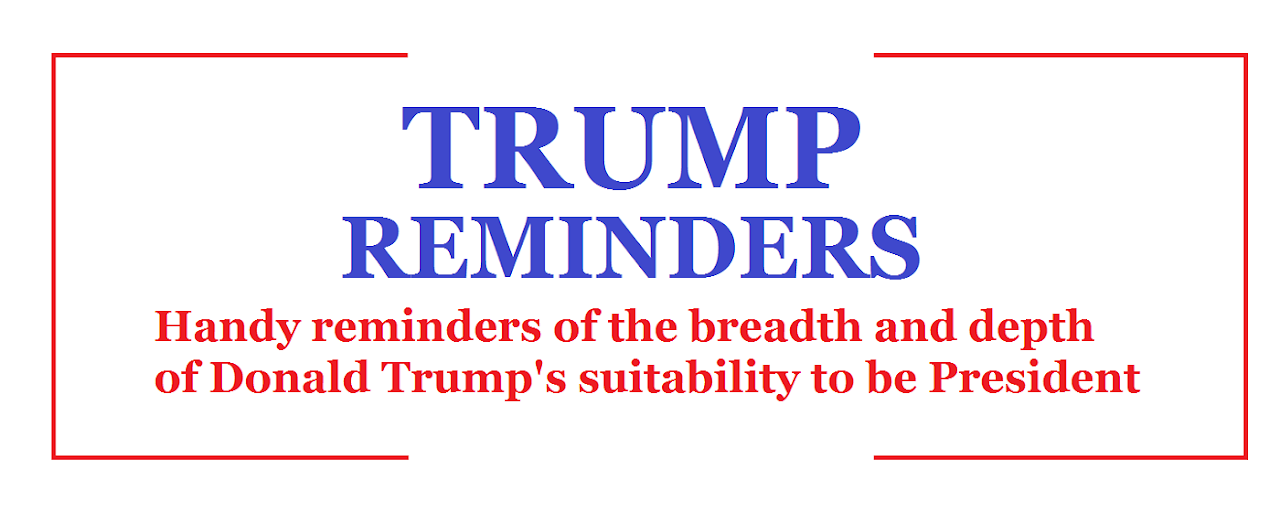 Trump Reminders Preview image 2