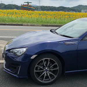 BRZ ZC6