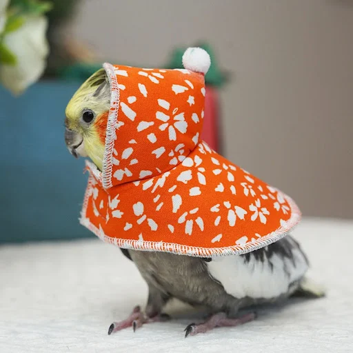 New Year Parrot Cloak Small Cloak Bird Clothes Double Thickened Cold Warm Xuanfeng Out Clothing Parrot Supplies