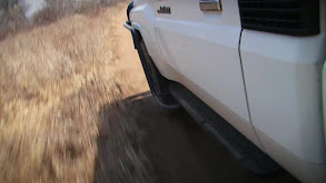 Buffalo On The Zambezi thumbnail