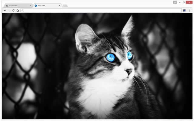 Gatos Papel de Parede Tab Themes