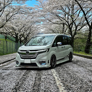 ステップワゴンスパーダ RP5