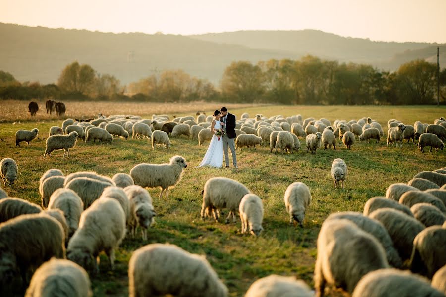 Photographe de mariage Alex Philip (philipalex88). Photo du 3 février 2021