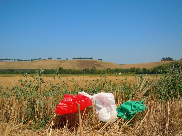 Sacchetti d'Italia di si