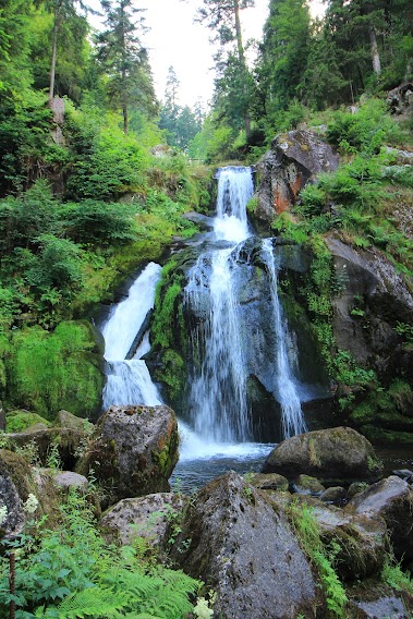 15 días por la Selva Negra y la Alsacia Francesa - Blogs de Alemania - Schiltach, Gutach, relojes de cuco y Triberg -SABADO 8 DE JULIO (32)