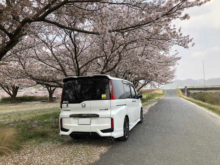 ステップワゴンのステップワゴン・RP3・happyバトン💫・モデューロX・桜に関するカスタム事例の投稿画像3枚目