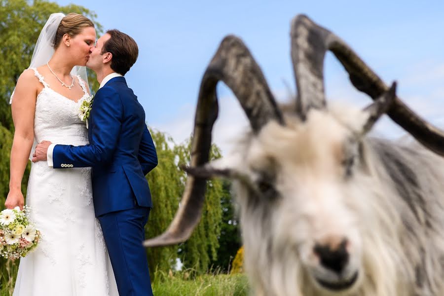 Fotógrafo de casamento Teun Bakker (teun). Foto de 17 de junho 2017