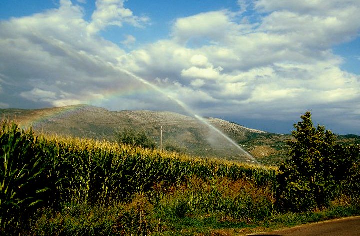 La natura e le sue forme di libera