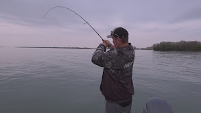 Jigging with a Detroit River Legend thumbnail