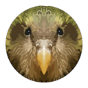 Kakapo for Chrome Chrome extension download