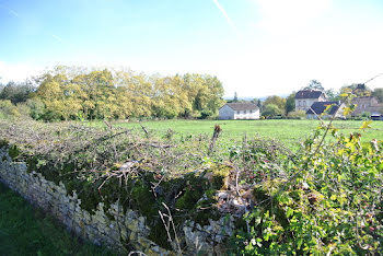 terrain à Saint-Gengoux-le-National (71)