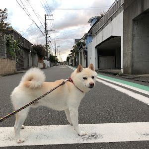 ハイエースバン