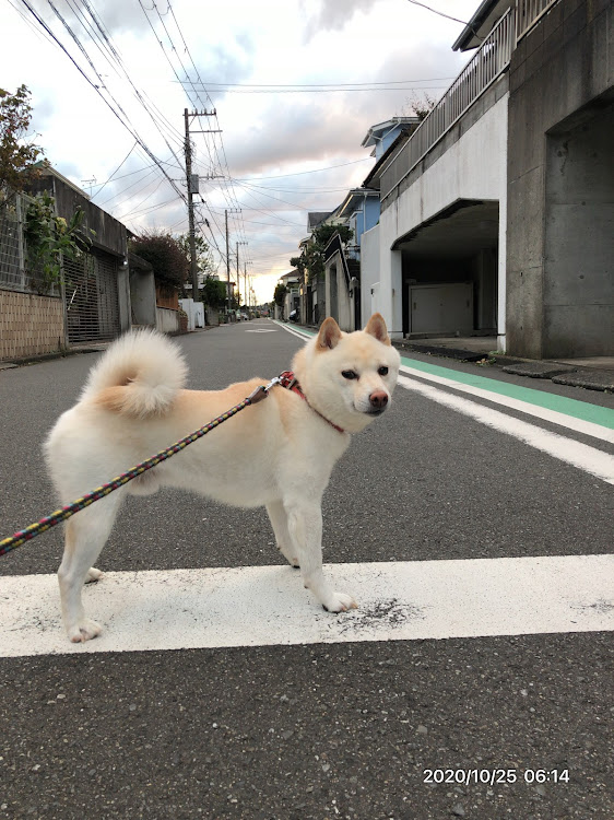 の投稿画像1枚目