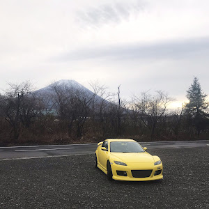 RX-8