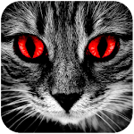Creepy Horror Stories: Text Scary Chat Stories EN Apk