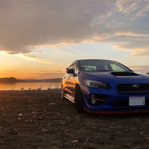 WRX STI VAB