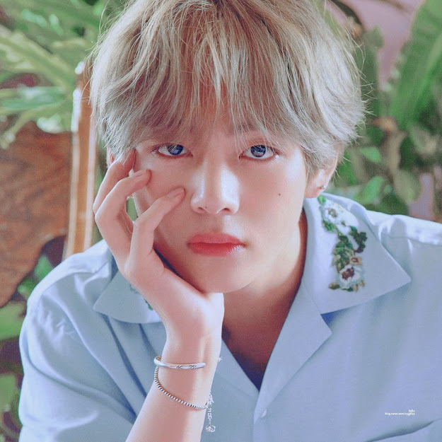 BTS V