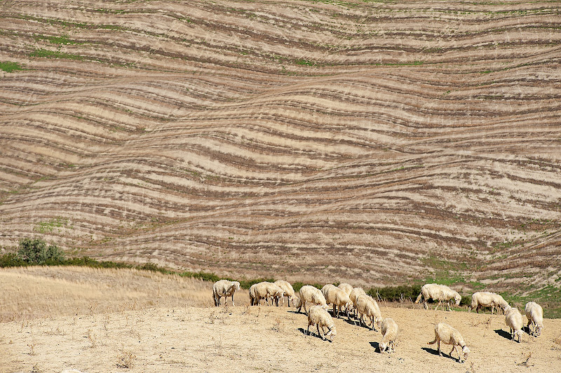 Bucolica di manrico