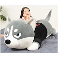 Gấu Bông Chó Husky Siêu To Khổng Lồ - Gối Ôm Chó Ngáo Size 1M1 - 1M5 - Hình Thât - Video