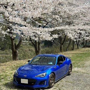 BRZ ZC6