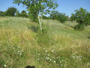 terrain à Coux-et-Bigaroque (24)