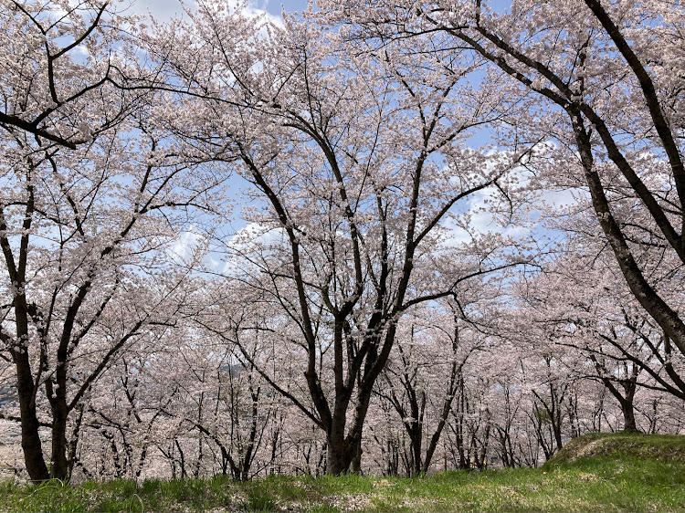 の投稿画像9枚目