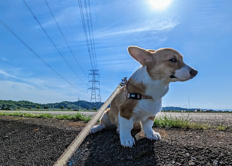 の投稿画像10枚目