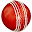 Cricket Coaching Tutorials Download on Windows