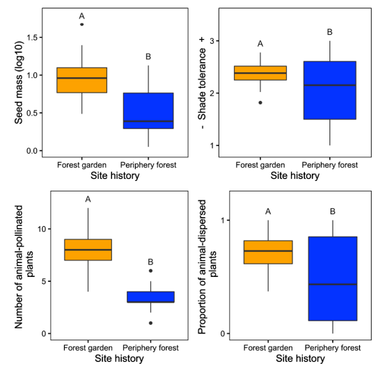 Four graphs compare functional trait measures for forest gardens and periphery forests. Forest gardens have a higher median for seed mass, shade tolerance, number of animal-pollinated plants, and proportion of animal-dispersed plants. Periphery forests have greater IQRs for seed mass, shade tolerance, and proportion of animal-dispersed plants than forest gardens.