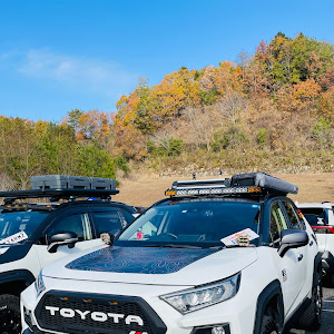 RAV4 MXAA54