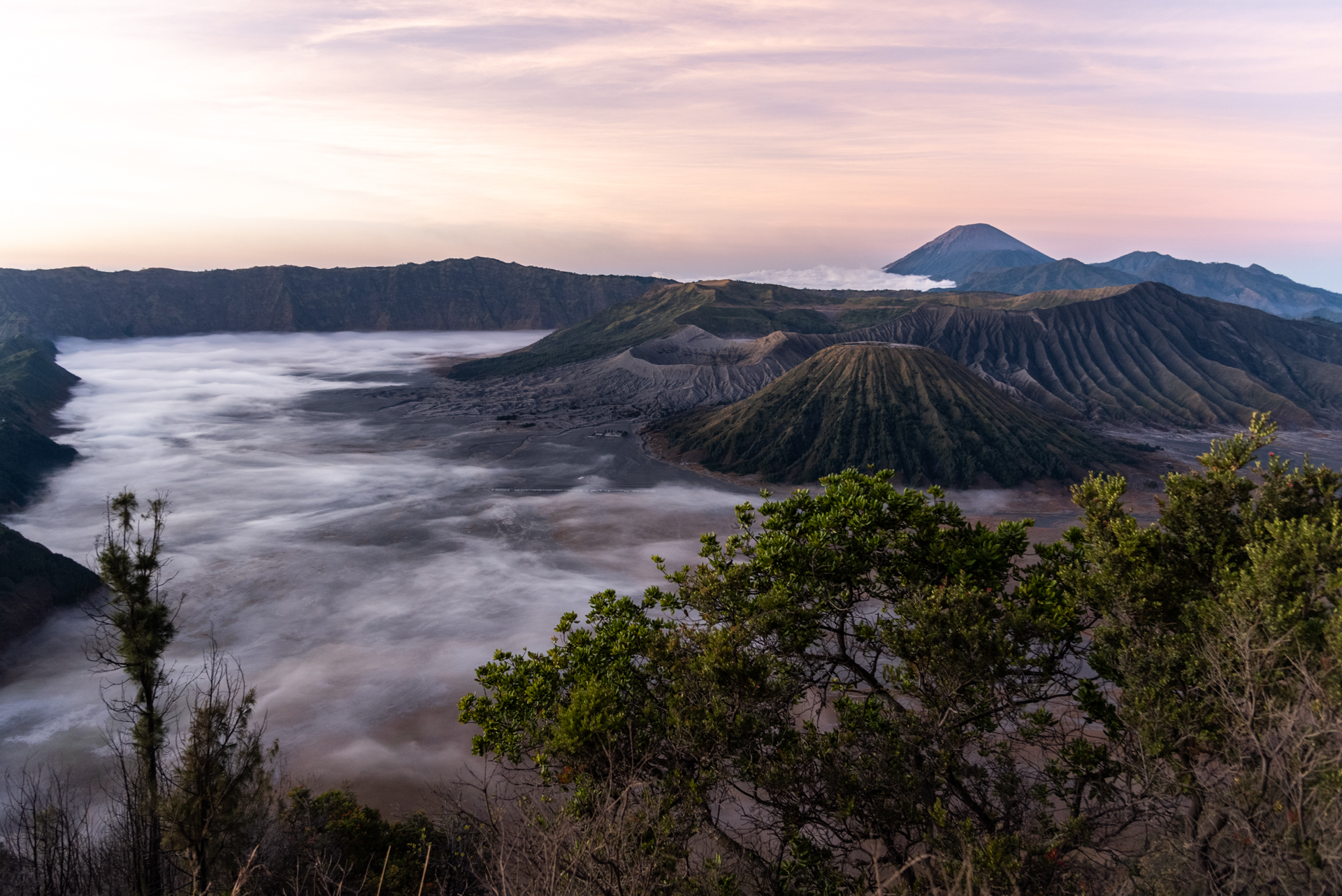 Bromo di laurafacchini