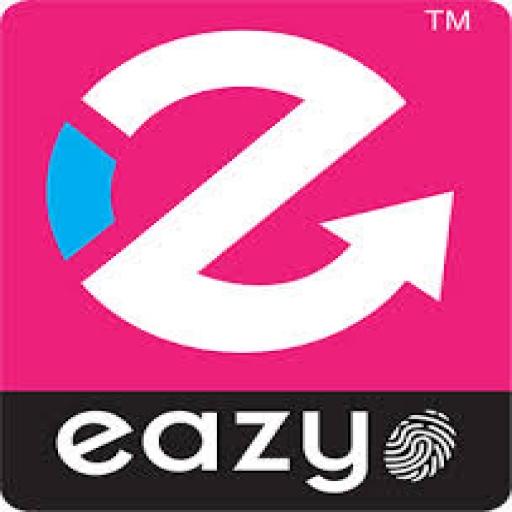 EAZYMAX