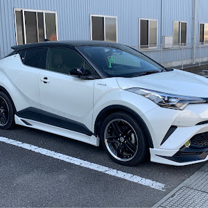 C-HR ZYX10