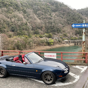 ロードスター NA8C