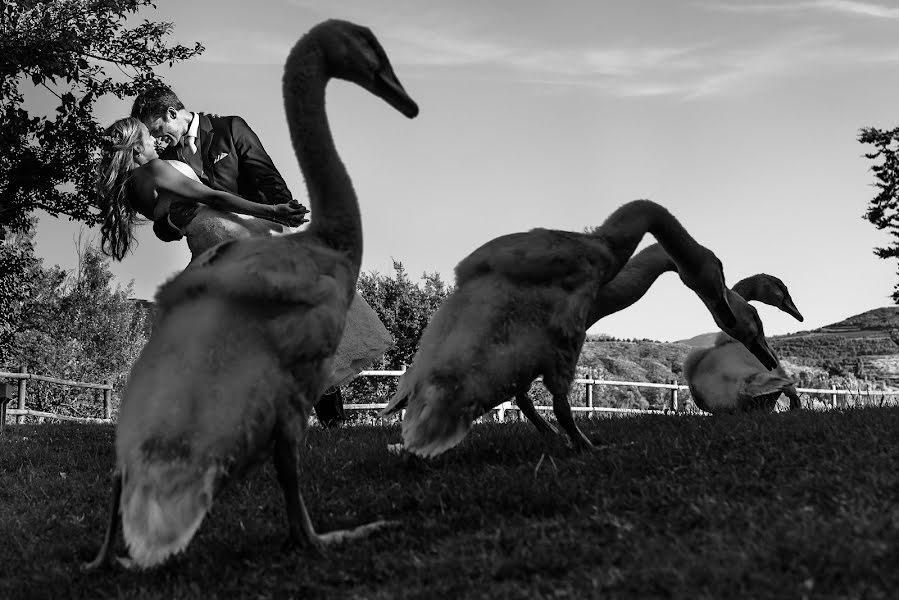 Wedding photographer Miguel Angel Muniesa (muniesa). Photo of 2 August 2016