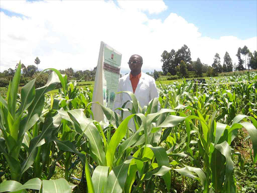 An agriculture official during a field trip in Singorwet location./FILE