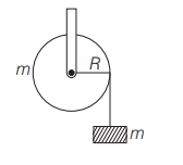 Free-Body Diagrams - FBD