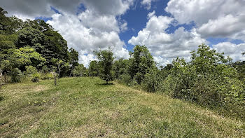 terrain à Roura (973)