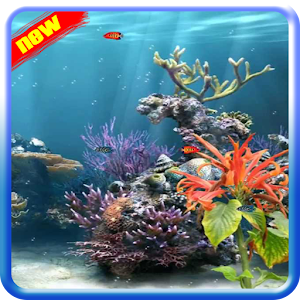 Download Aquarium Wallpaper Free For PC Windows and Mac